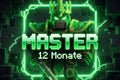 MASTER (12 MONATE)
